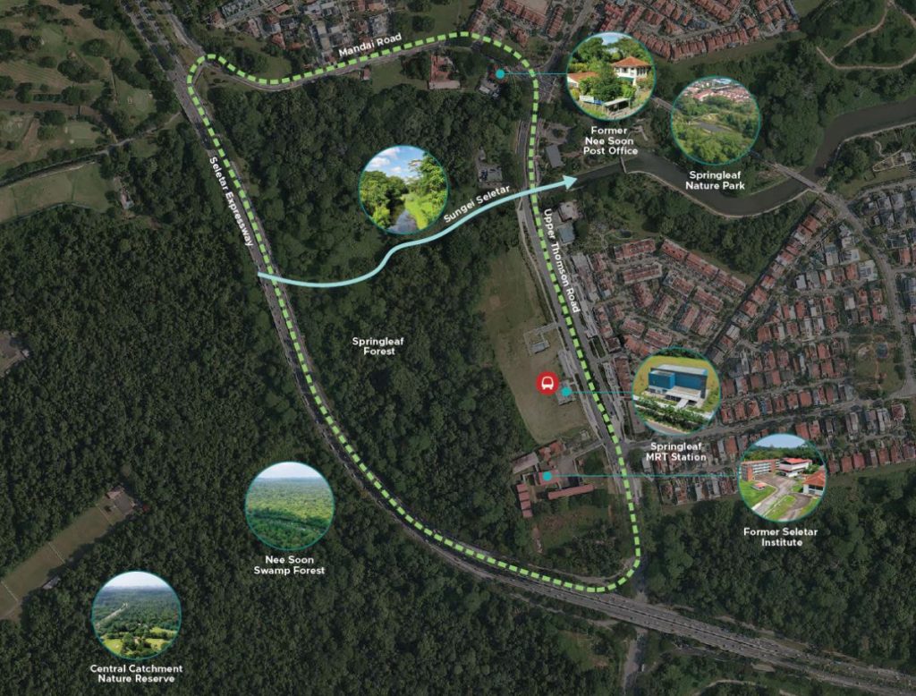A brief history of Springleaf Precinct