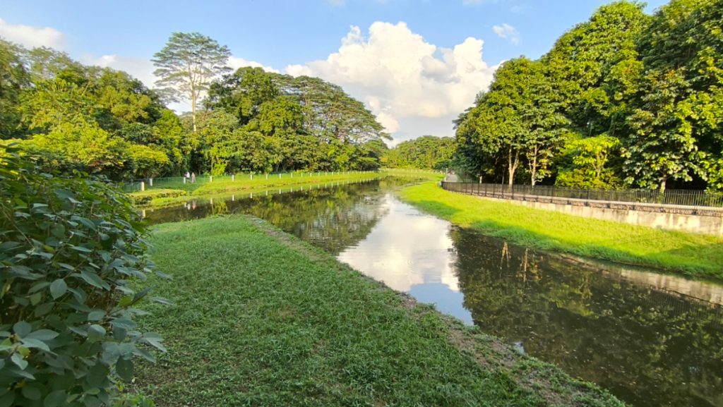 Waterways at Springleaf Nature Park